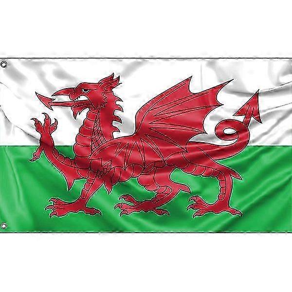 Flagge von Wales L0310