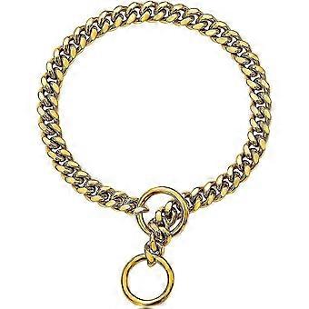 Dog Collar Gold 10MM 22in QWER329