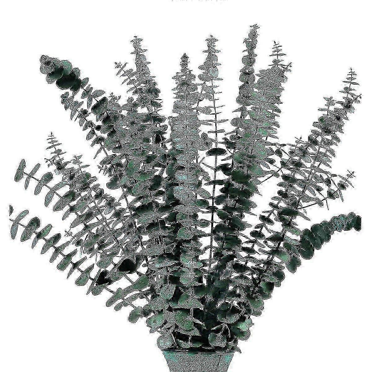 16pcs Flexible Preserved Eucalyptus