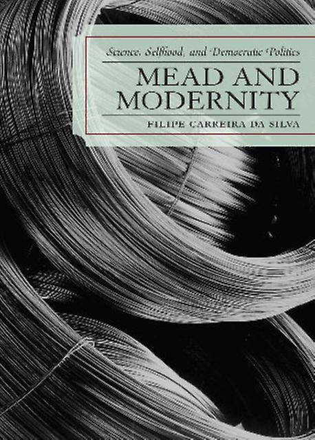 Mead And Modernity by Filipe Carreira da Silva Paperback Book
