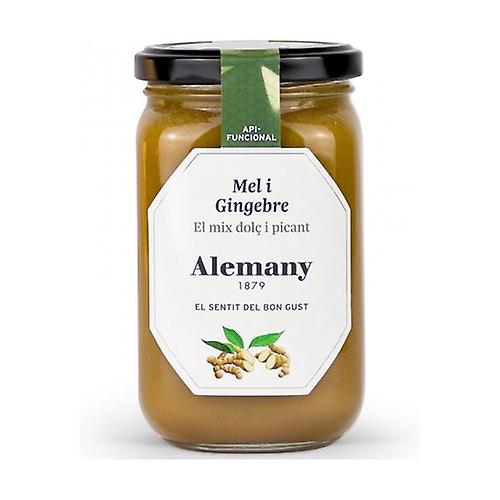 Honey with ginger 500 g