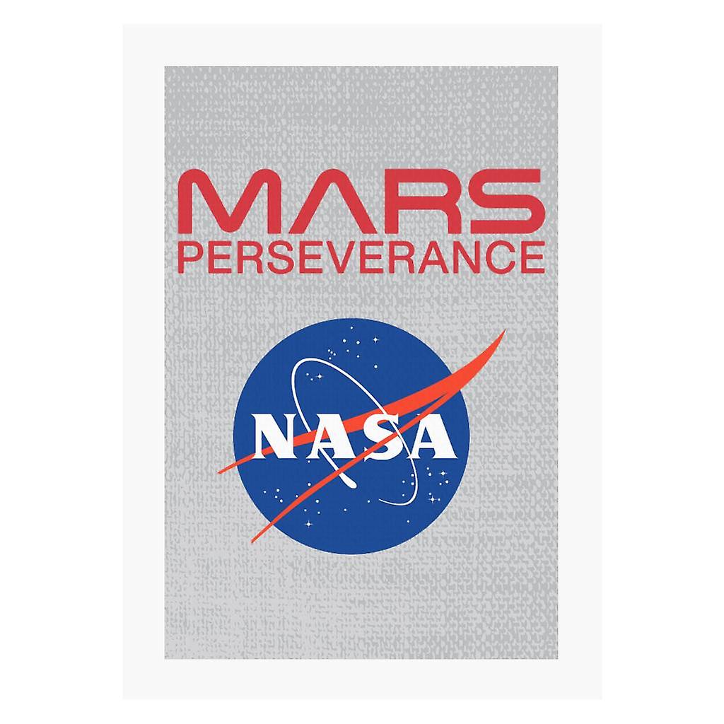 NASA Logo Mars Perseverance A4 Print
