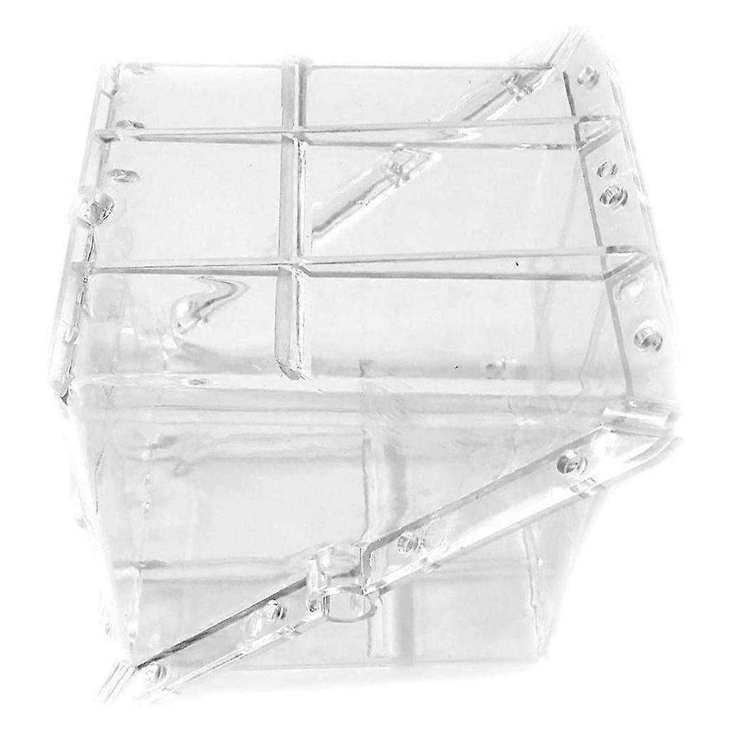 Square Forming Mould for Watermelon Transparent Shaping Mold Fruit Forming Tools