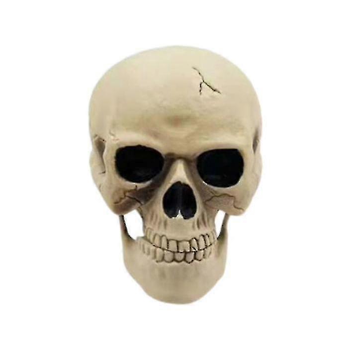 Skeleton Posable, Skeleton Skeleton, Model Plastic Skeleton, Movable Joints Of Characters, Haunted House Props Decoration.
