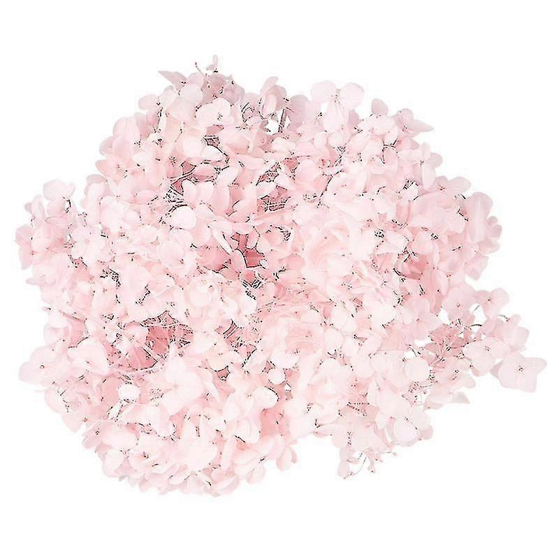 1pcs Dried Flowers