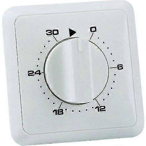 Recessed Mounting Analog Day Programmable Mechanical Timer with 30-Minute Setting