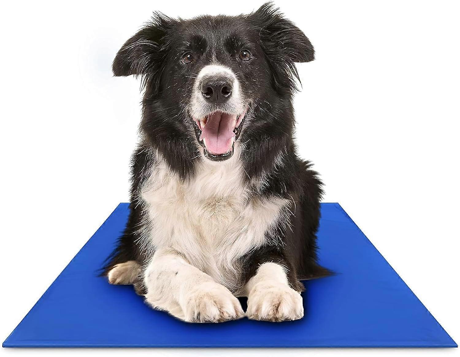 Gel Mat, Large - Pressure-Activated Cooling Pad for Pets