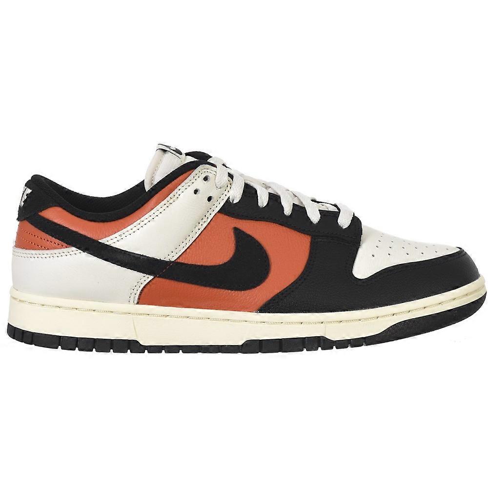 Shoes Nike Dunk Low Retro HQ4988030