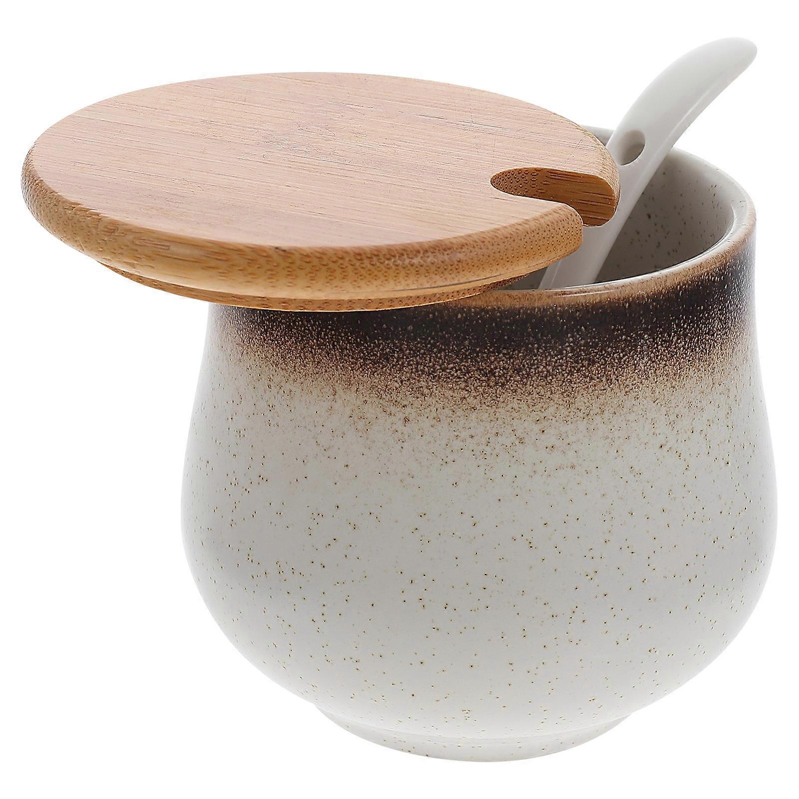Ceramic Condiment Jar for Kitchen Spice Storage 1Set with Spoon