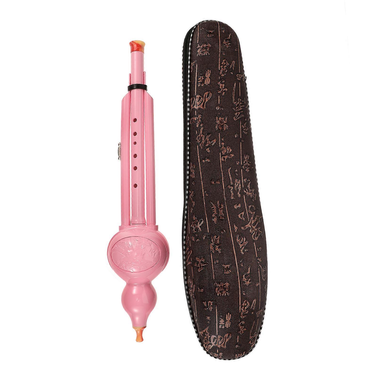 Flute Instrument Soprano Recorder for Learning Use with Case Pink