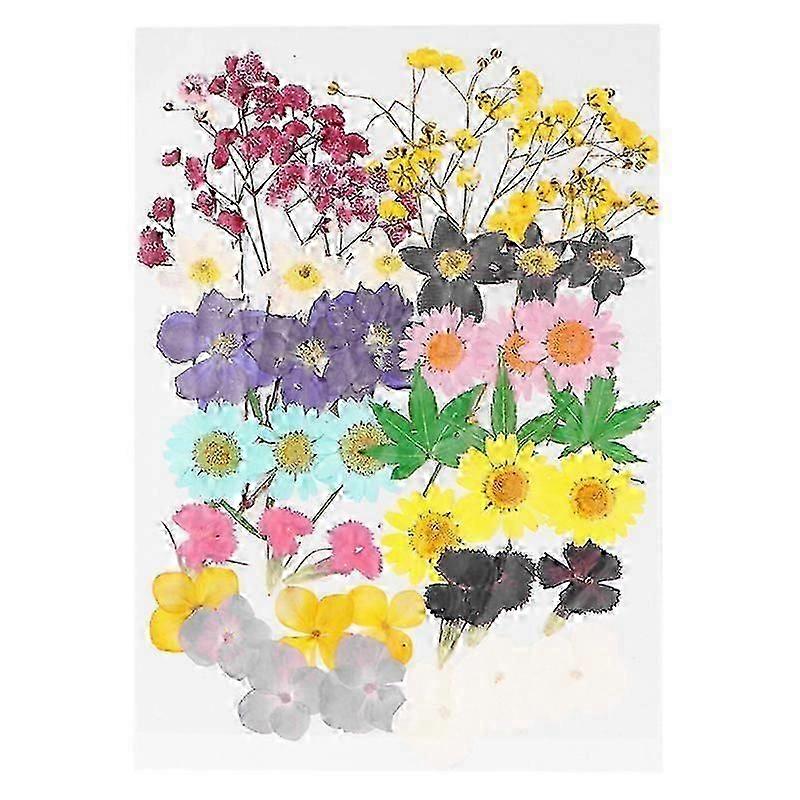 SZW-42pcs Dried Flower