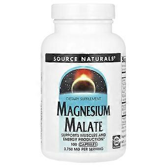Source Naturals, Magnesium Malate, 100 Capsules, 3-Pack
