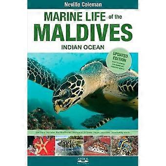 Zeeleven van de Malediven - Indische Oceaan