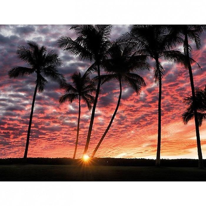 Dennis Frates Hawaiian Sunset Framed Canvas Print