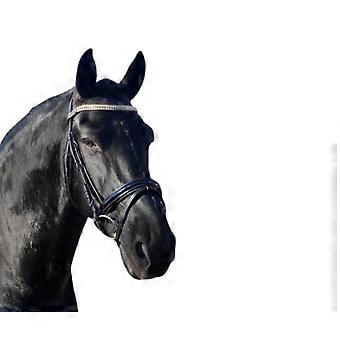 Showtime Deister Bridle for Horse