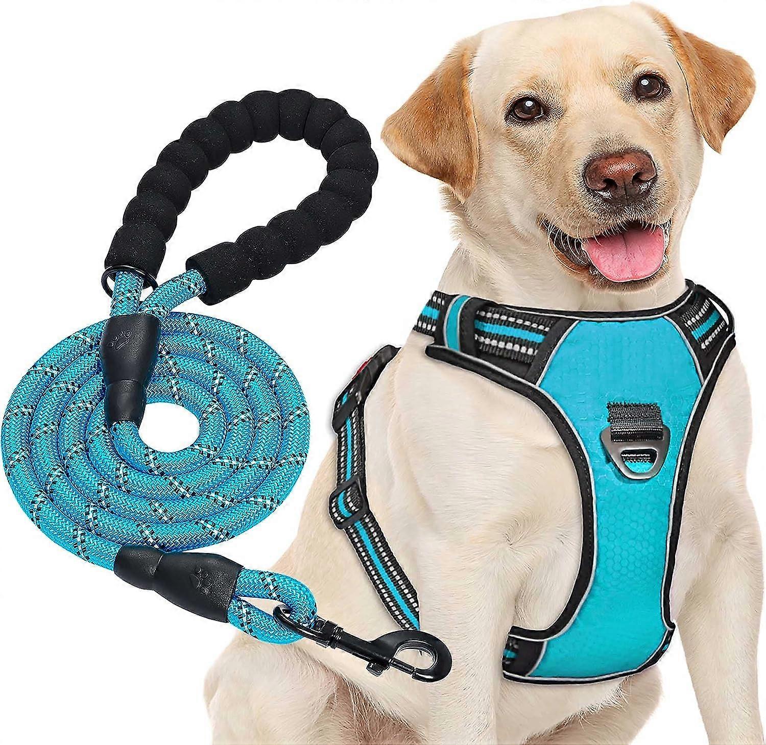 Blue - No Pull Harness for Medium and Large Dogs, Adjustable Reflective Oxford for Easy Control, Comes with Heavy Duty Free Leash (Size Small, Fits 4-