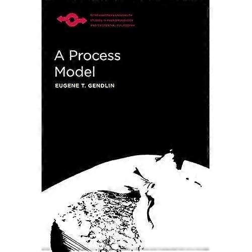 A Process Model (Studies in Phenomenology and Existential Philosophy)
