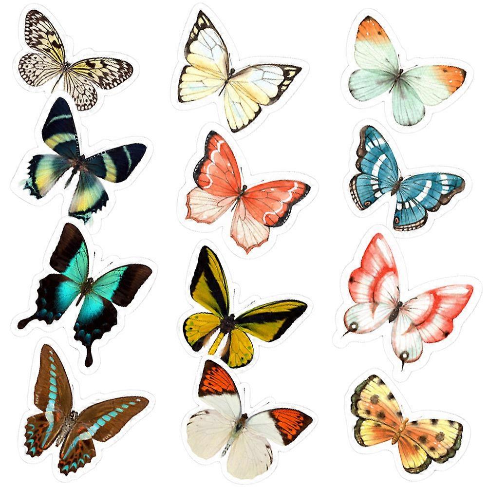 Anti-Collision Window Clings 3D Static Cling Window Stickers for Home Decoration Assorted Color Pvc Material 6Pcs
