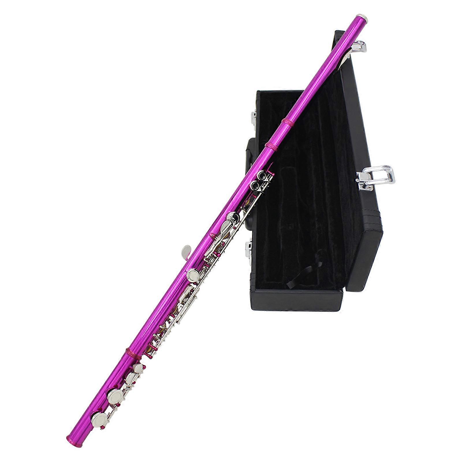 Professional Horizontal Flute With Bag Cleaning Cloth Stick 16-hole C Tone Closed Hole Flute for School Band Instruments Multicolor