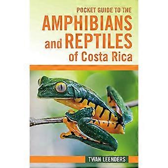 Taschenführer zu den Amphibien und Reptilien Costa Ricas (Zona Tropical Publications / Hellbender)