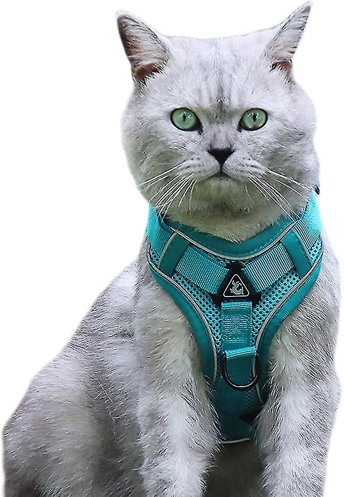 Dog Harness And Lead Set For Small Medium Cat- Adjustable Elastic Strap Vest Harnessesgreen,s