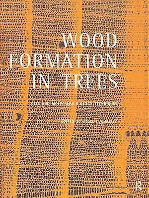 Wood Formation in Trees