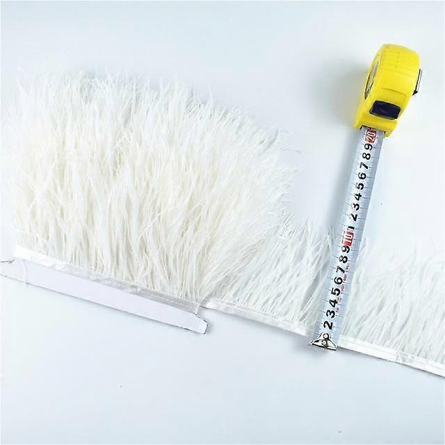 5M High Quality Ostrich Feathers on Tape Ribbon Fringe Trim 8-10cm DIY Sewing Trimmings Flecos White Feather Dress Clothes