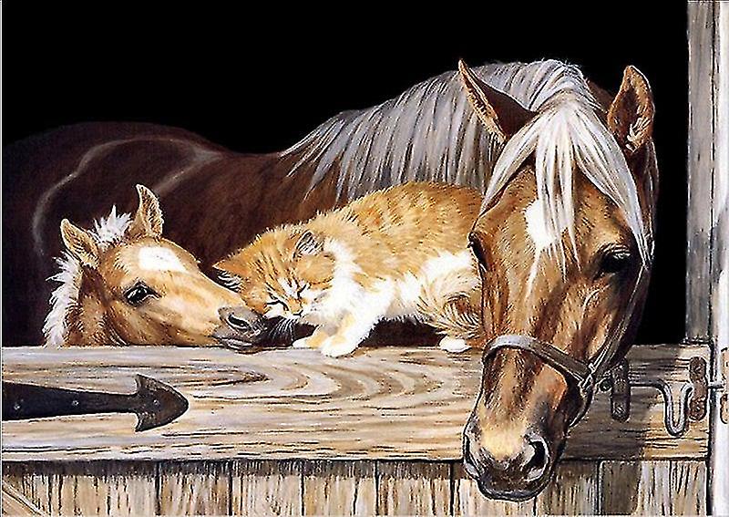 Diy 5d Embroidery Rhinestone Pasted Wall Decoration