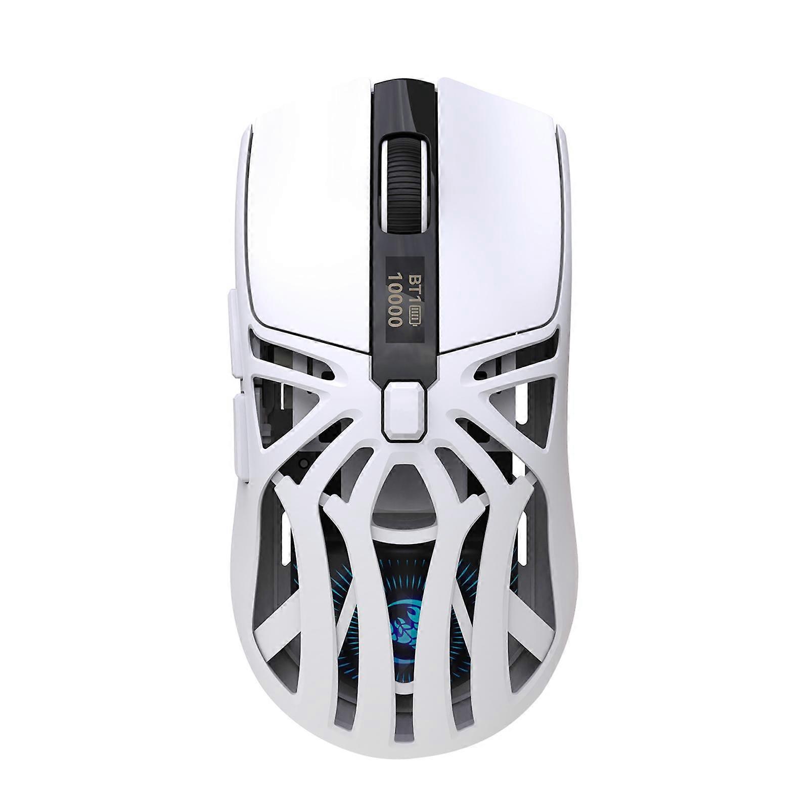 Ergonomic Optical Mouse with RGB Lighting for Laptop And PC