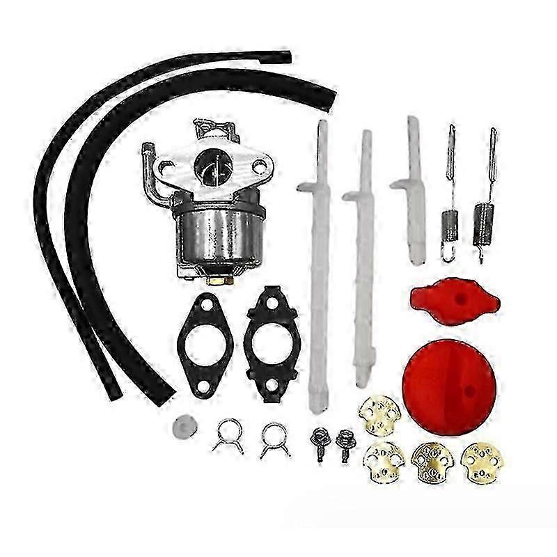 798917 Zestaw gaźnika odśnieżarki do Stratton 790558 794587 791953 791292 12A000 12C000 Model Engin-Yvan