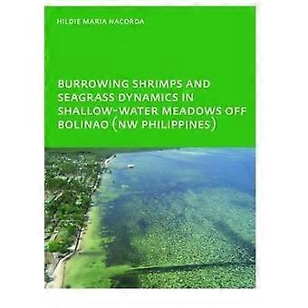 Burrowing Shrimps and Seagrass Dynamics in Shallow-Water Meadows off Bolinao (New Philippines)