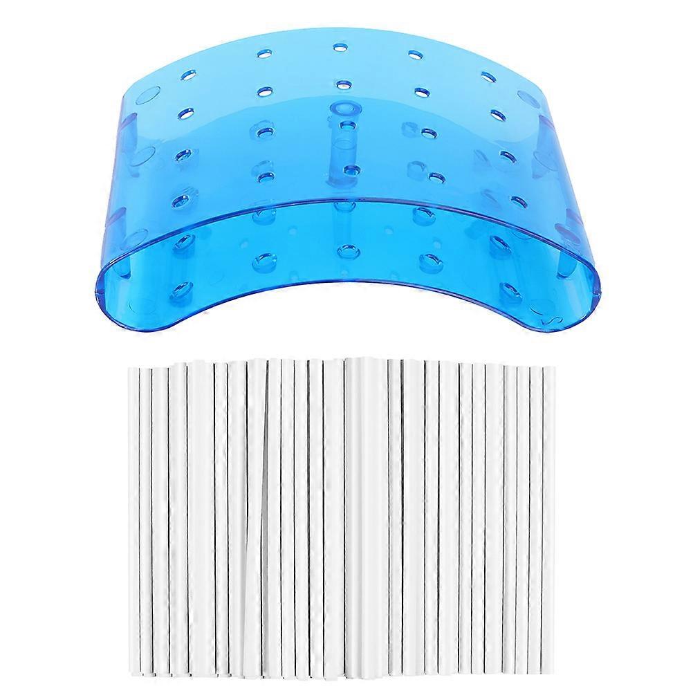 Blue Lollipop Display Stand 2Pcs for Home Use with 100 Lollipop Sticks