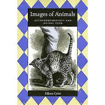 Images Of Animals