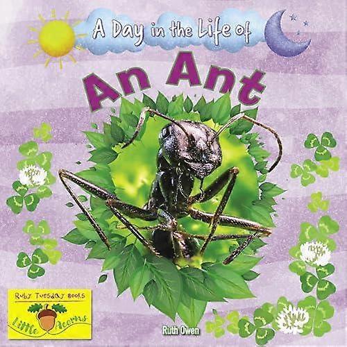 Ant - Ruth Owen