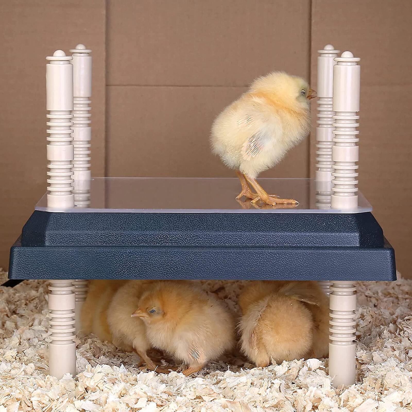 Chauffage économique Animaux Plaque Chauffante Pour Poussins - 145W Économe - Hauteur Réglable - Pour Poulailler Et Animaux Chauffage Sécurisé