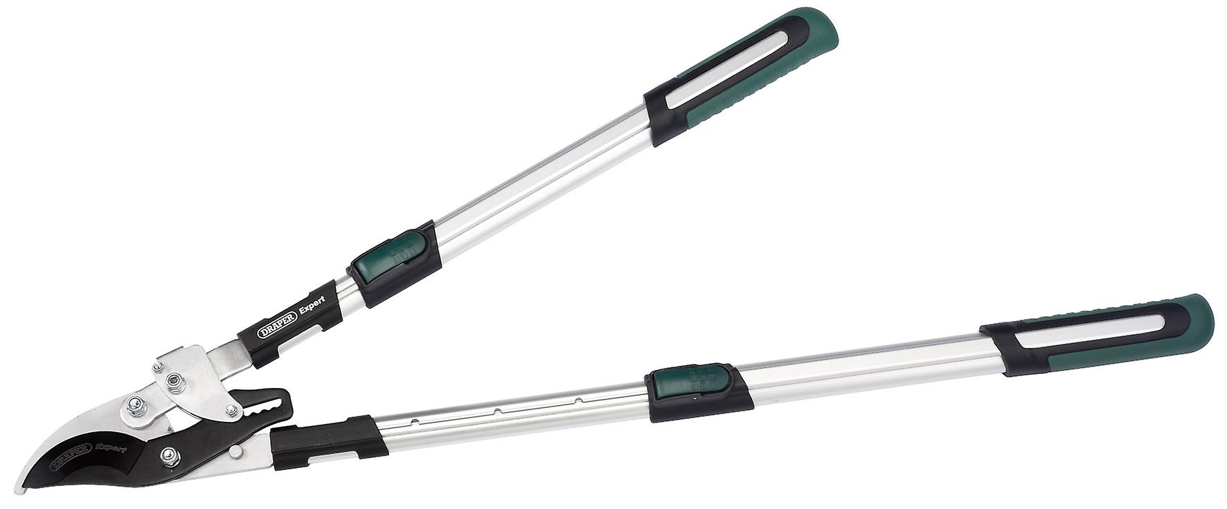 Draper 36819 Expert Telescopic Soft Grip Bypass Ratchet Action Loppers