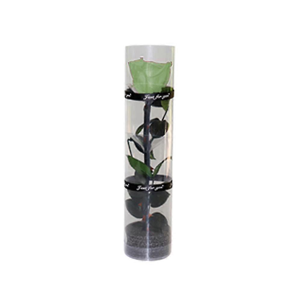Une vraie rose préservée, une rose éternelle, une rose durable, une rose à floraison éternelle