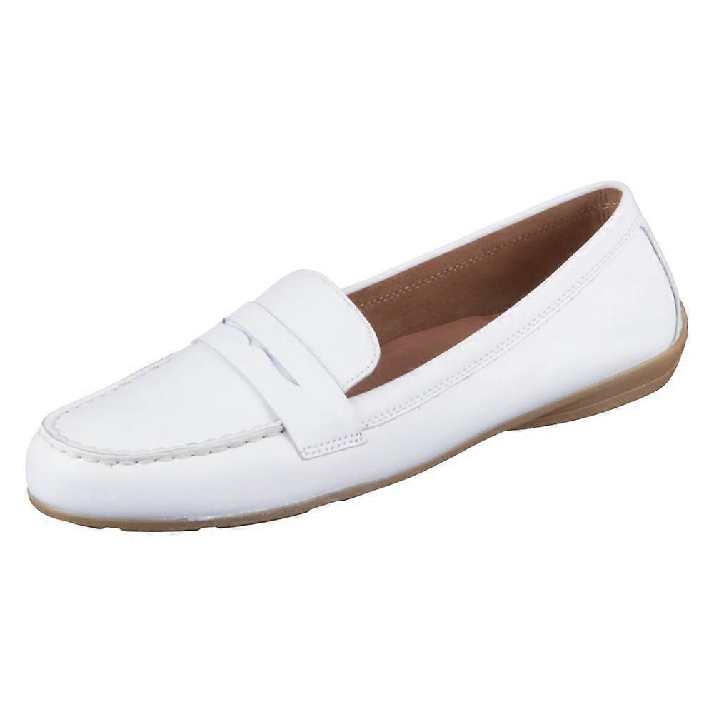 Shoes Gabor 6420021
