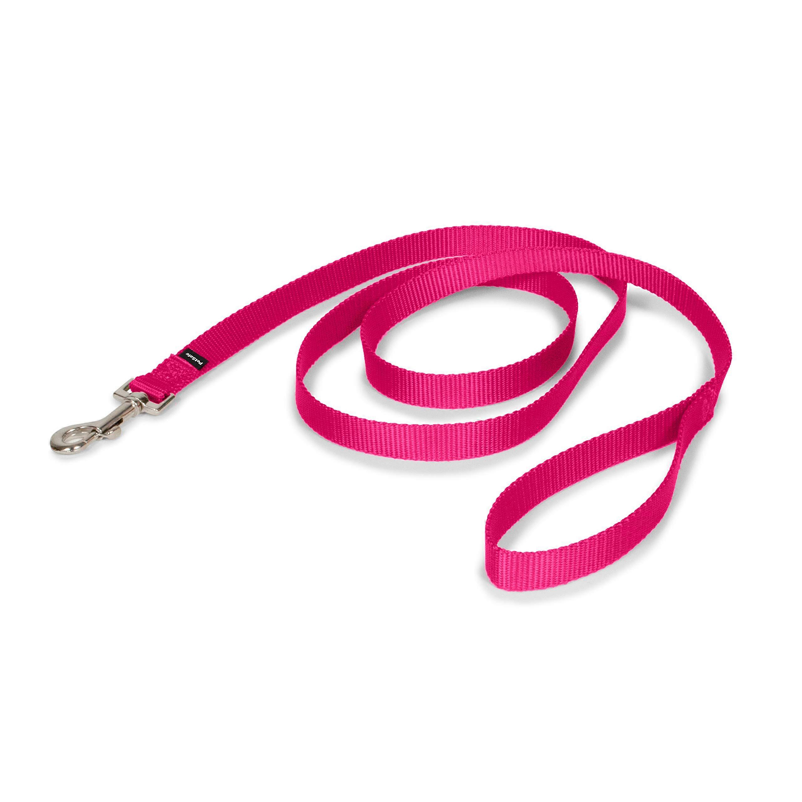 Nylon Dog Collar - Strong, durable, traditional style leash with easy-to-use bolt snap for small, medium, and large dogs - 3/4 in. x 6 ft