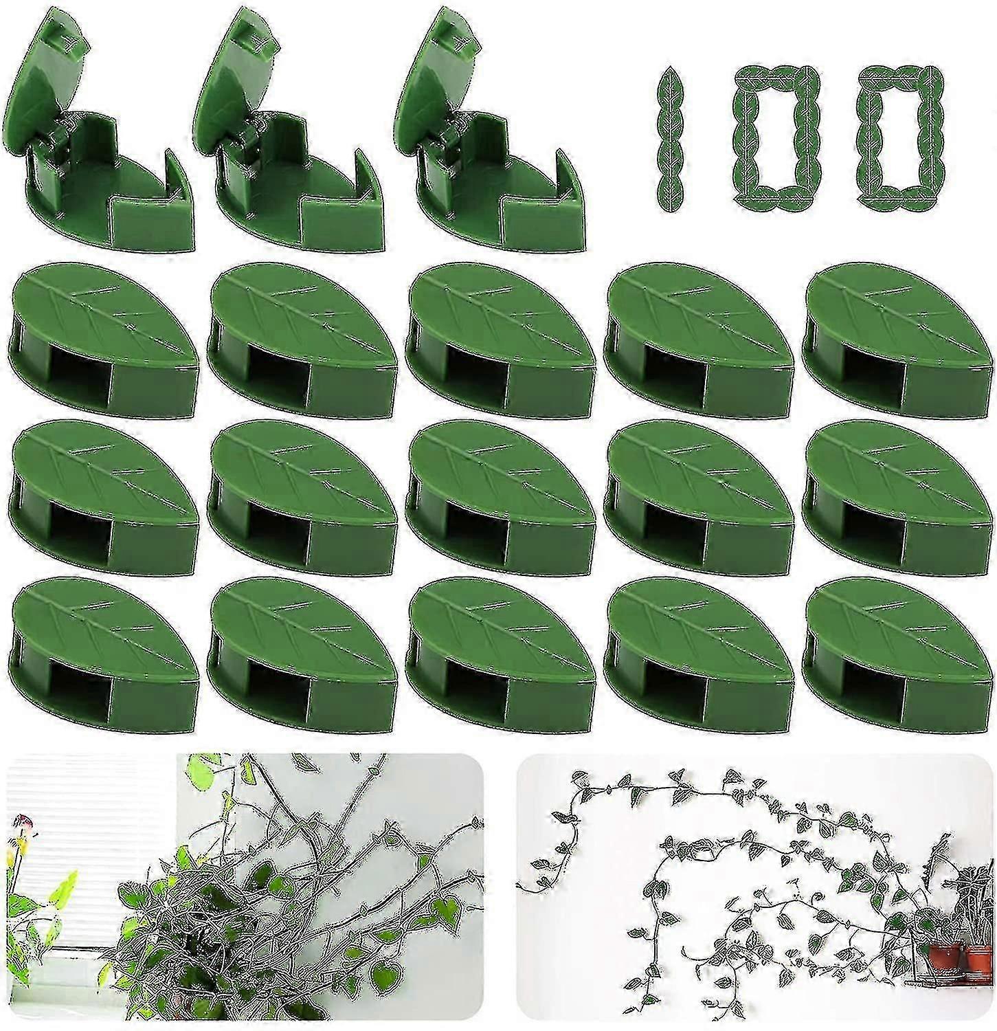 30個植物クライミングウォールフィクスチャクリップアクリル接着剤付きプラントフィクサー目に見えない壁つる固定クリップ粘着フック