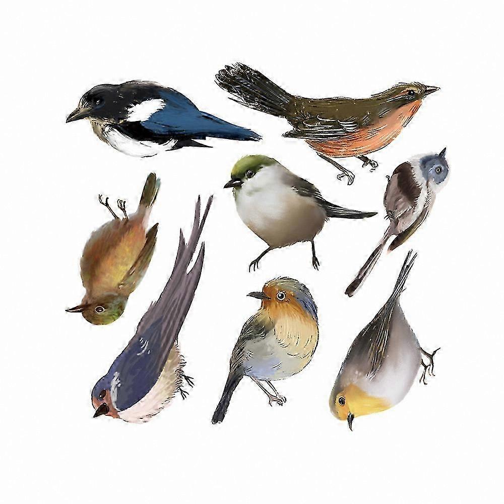 Bird-Friendly Frosted PVC Window Decals for Glass Surface Protection Against Collisions