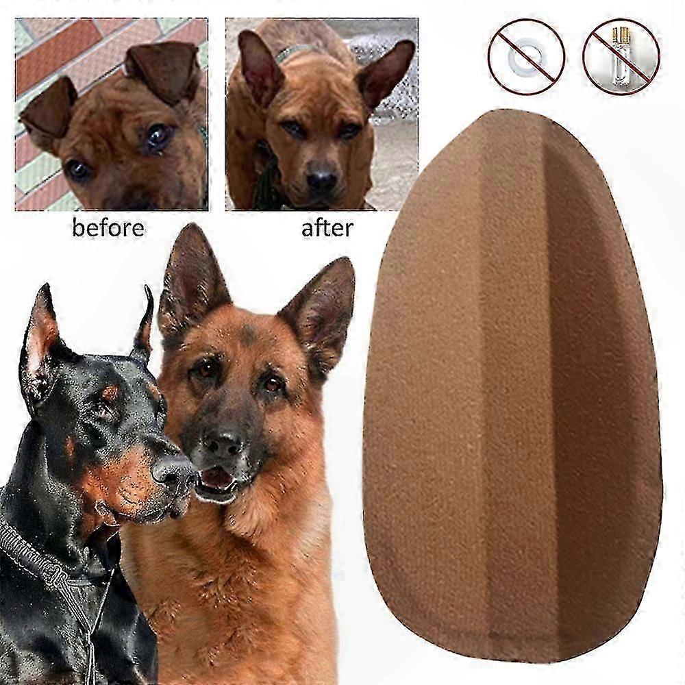 Puppy Ear Training Support Tool for Erect Ear Correction Doberman