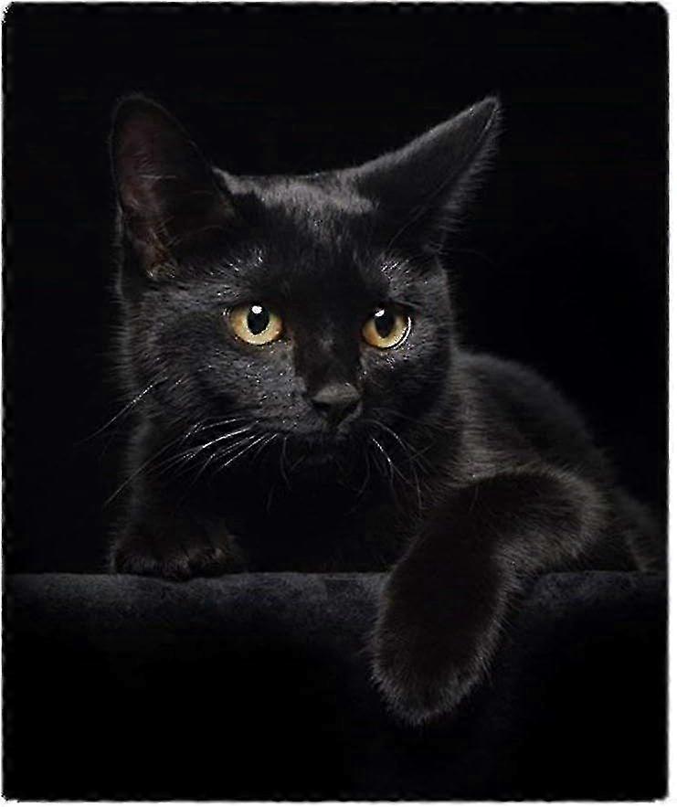 Weiche Fleecedecke mit schwarzer Katze, Überwurf geeignet für Sofa oder Bett