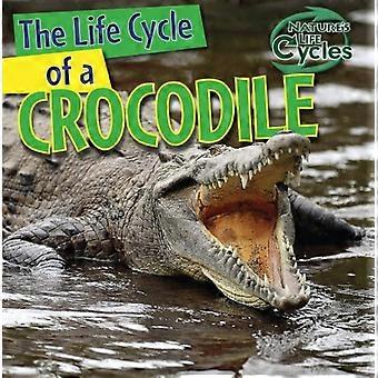 El ciclo de vida de un cocodrilo