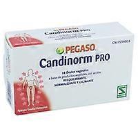 Candinorm 10 units
