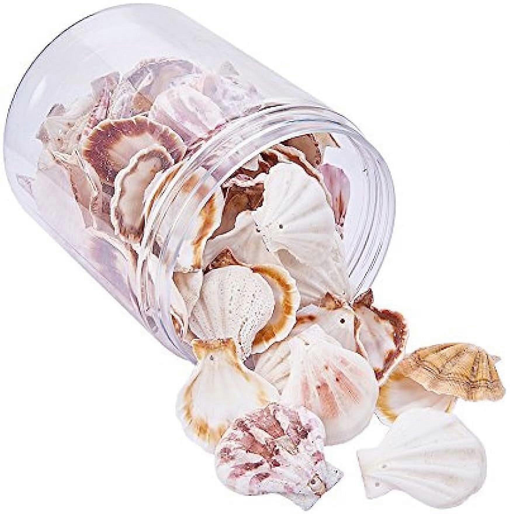 56-70pcs Tiny Sea Shells Ocean Beach Clam Beads Drilled Seashells Craft Charms