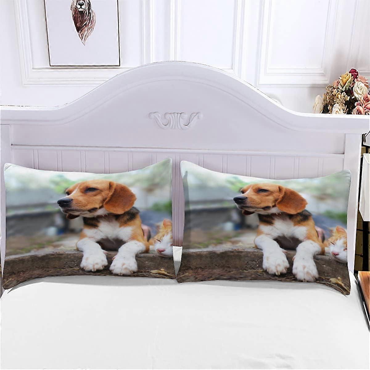 Thumbnail for Dog Hypoallergenic Bedding For Sale Uk