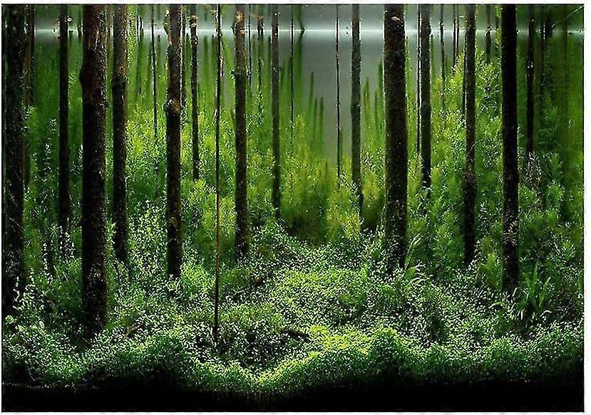 Pvc Tank Background, Pvc Background Poster Backdrop Rat