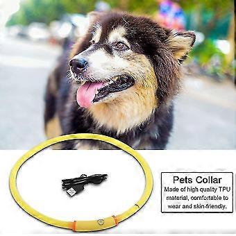 USB Rechargeable LED Dog Collar Flashing Light Safety Band Yellow