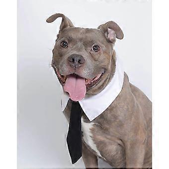 Cravatta per cani, collare in cotone per smoking per animali domestici con cravatta nera per cani e gatti cravatta per animali domestici strisce per cravatta per cani (1 confezione, L)